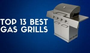 Top 13 Best Gas Grills